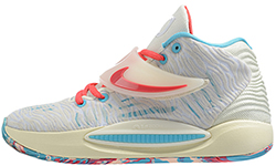 Nike KD 14 Multicolor