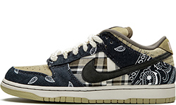 Nike Air Force 1 SB Dunk Low Travis Scott